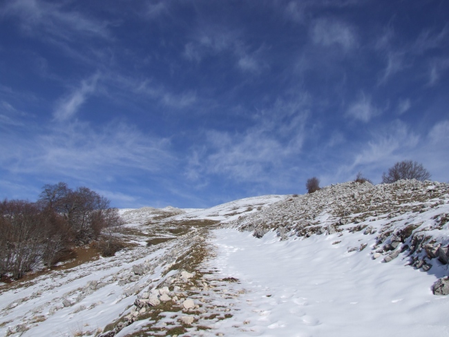 Versante laziale del Parco Nazionale d''Abruzzo